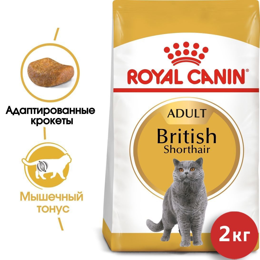 Royal canin для британских кошек