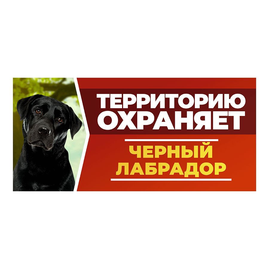 Табличка, DANGER DOG, Черный лабрадор, на забор, 30см х 14см, 30 см, 14 см  - купить в интернет-магазине OZON по выгодной цене (941036489)