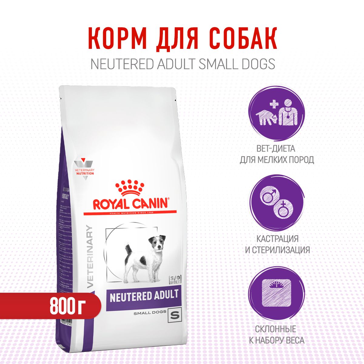 Royal Canin Neutered Adult Small Dog сухой корм для взрослых кастрированных  собак мелких пород - 800 г - купить с доставкой по выгодным ценам в  интернет-магазине OZON (668492141)