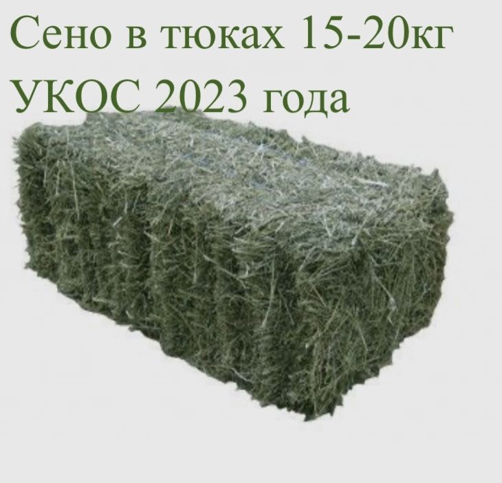 Сено для Коров – купить в интернет-магазине OZON по низкой цене