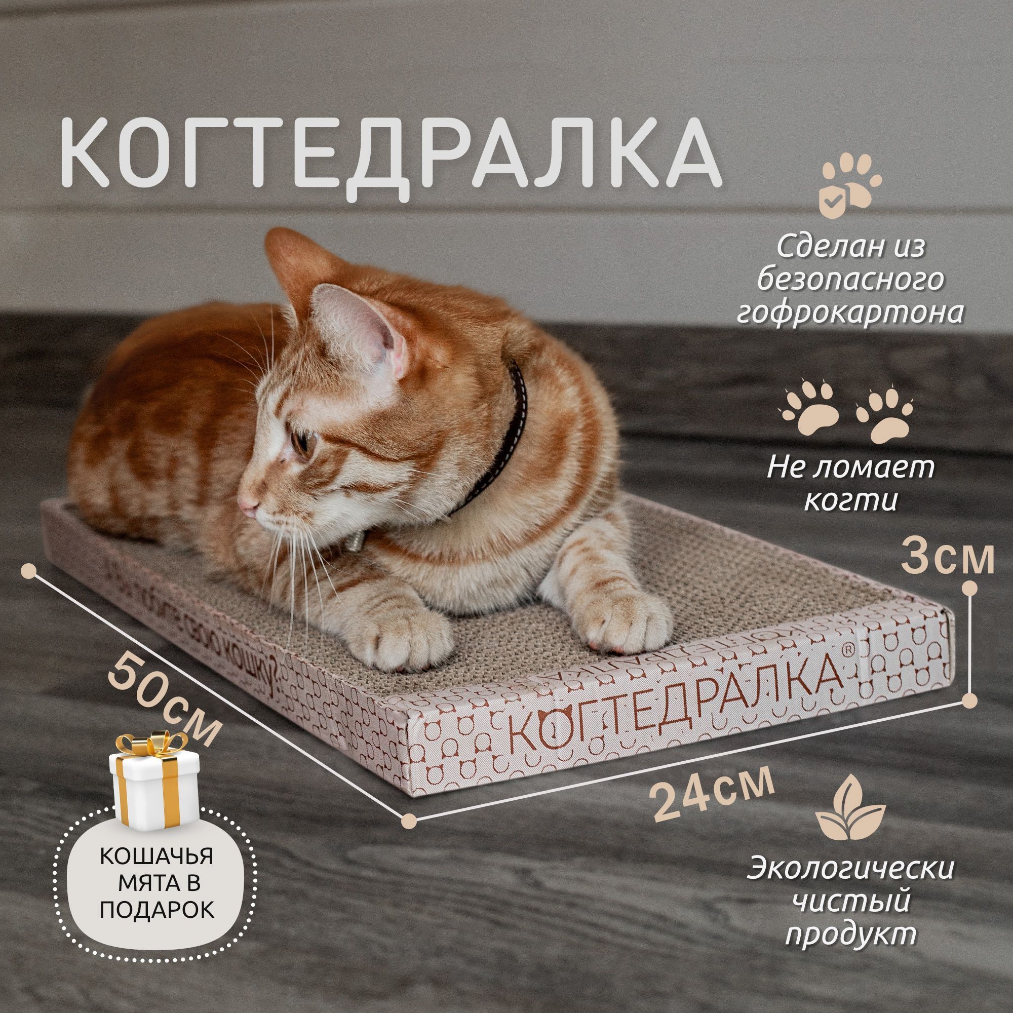 Травяная Смесь Для Когтеточки Купить В Спб