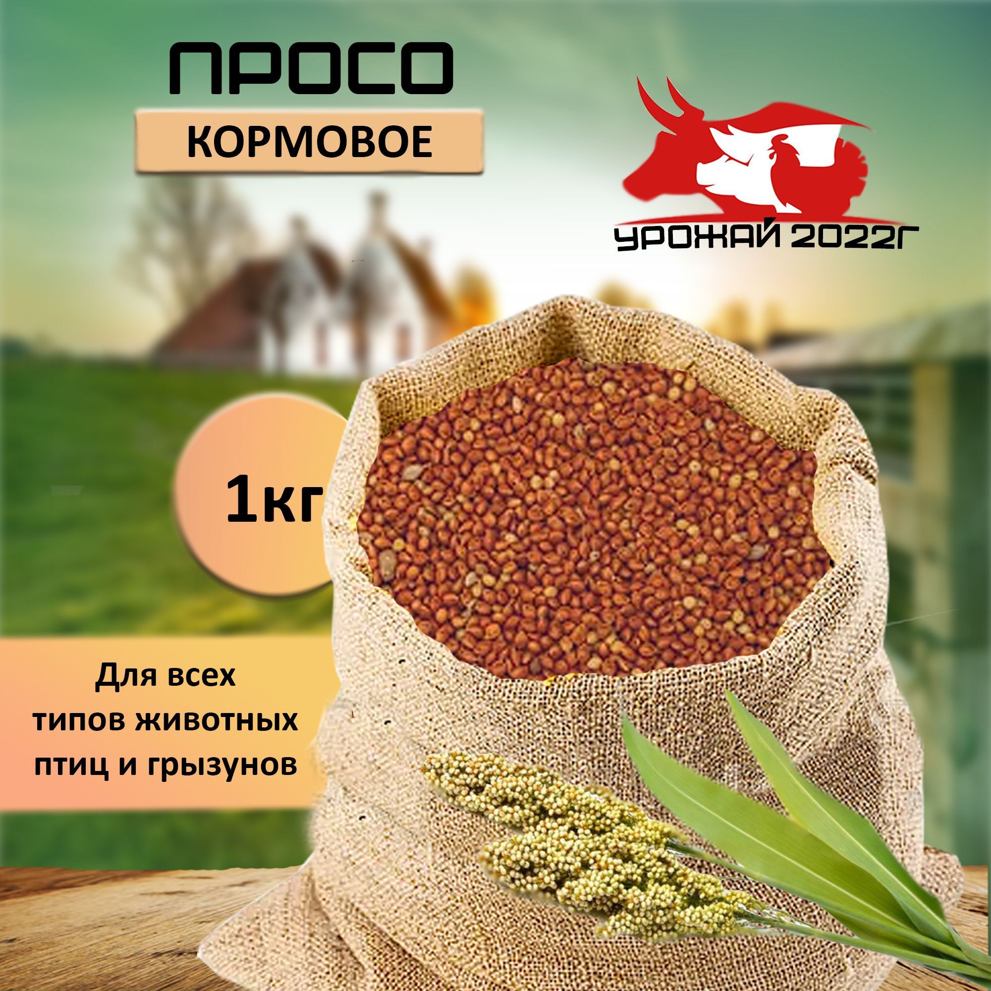 Корм для птиц зерно просо 1 кг