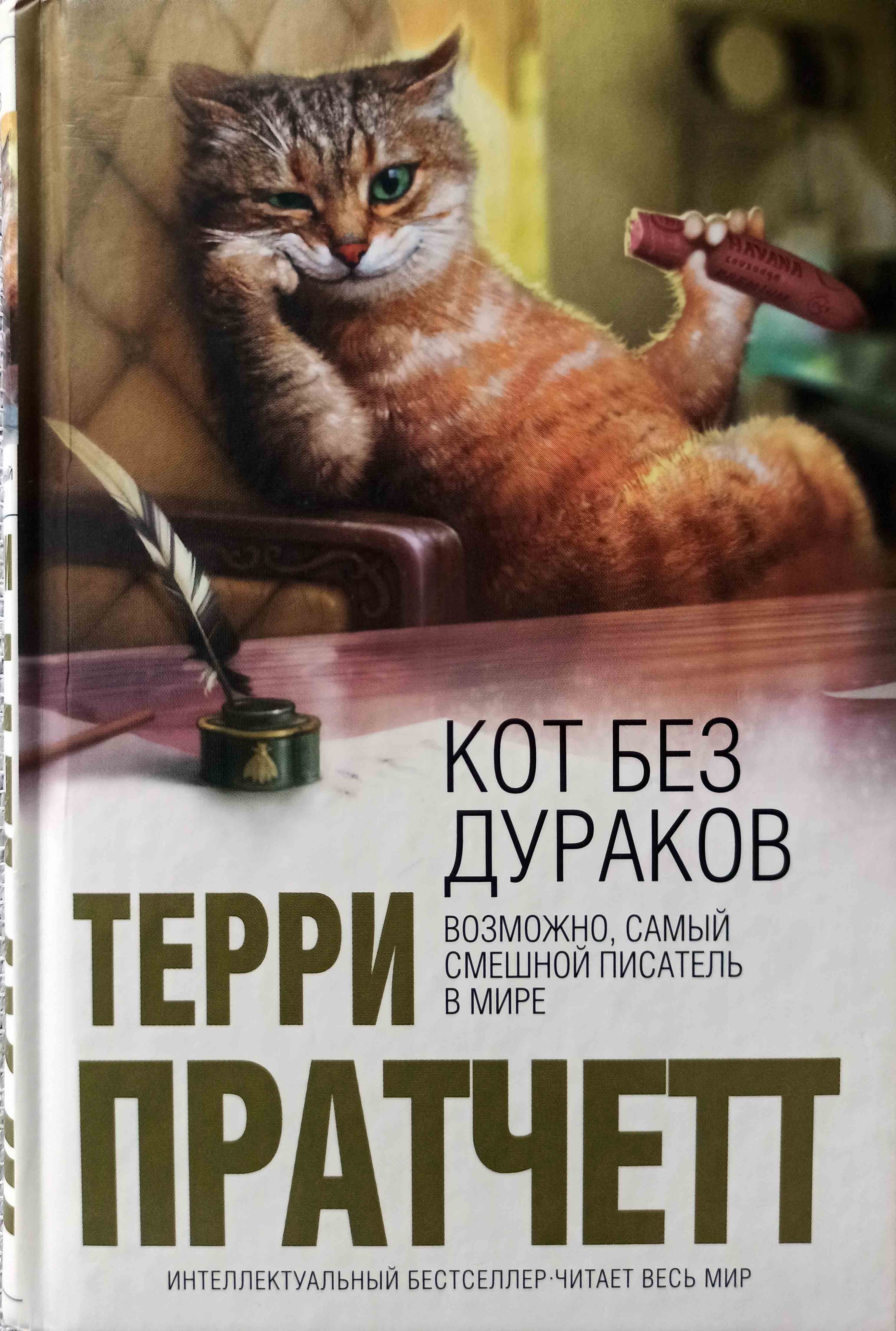 Позитивные книги. Терри Пратчетт кот без прикрас. Кот без дураков Терри Пратчетт книга. Терри Пратчетт кот без прикрас обложка. Кот без прикрас книга.