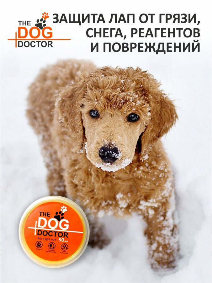 воск "The Dog doctor"