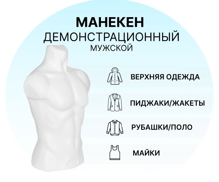 Манекен Торс Мужской купить на OZON по низкой цене