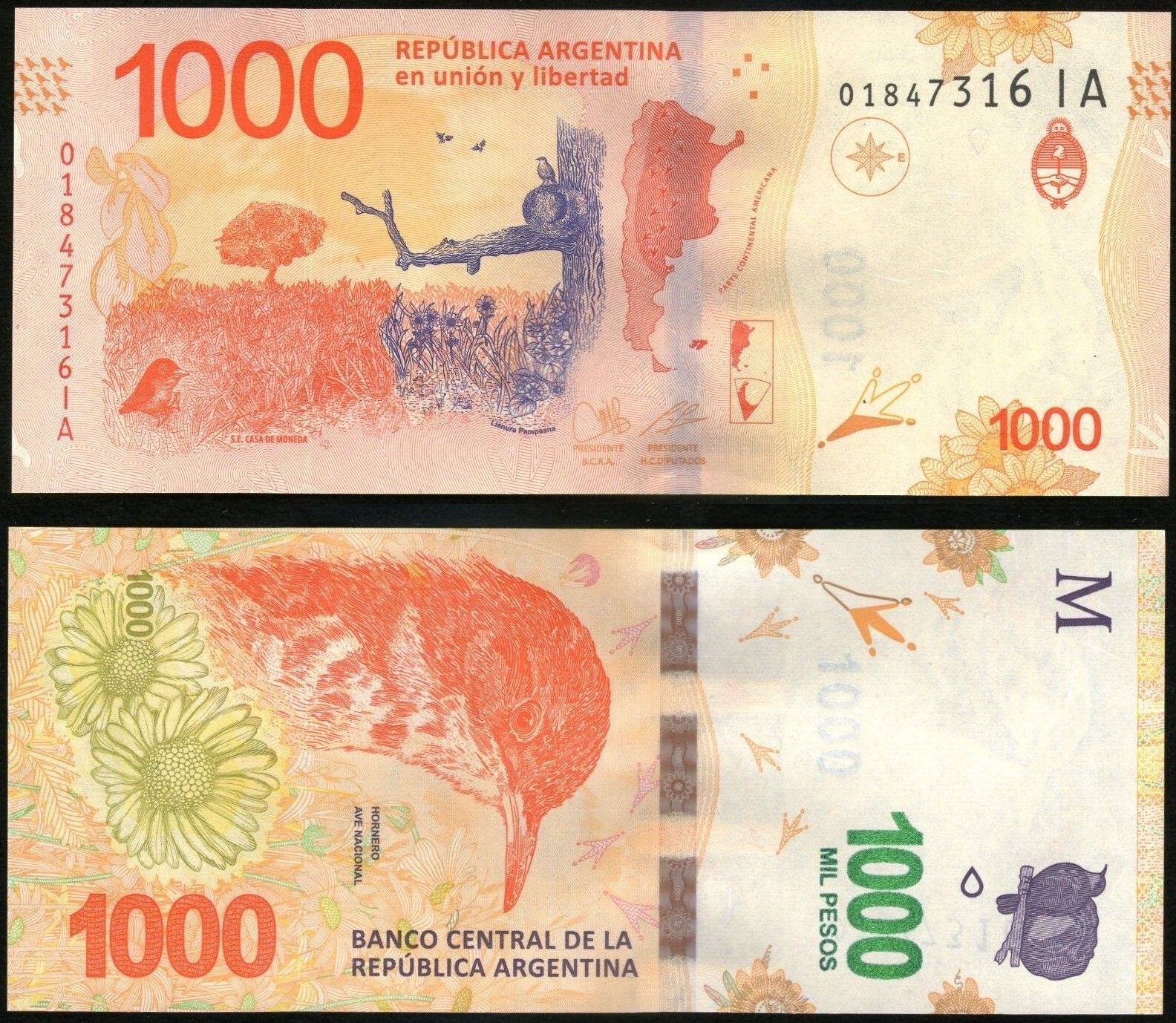 1000 2017 года. Банкноты Аргентины 1000 песо. Банкнота Аргентина 1000 песо 1984г. Банкноты Аргентины 2022. Аргентинское песо.