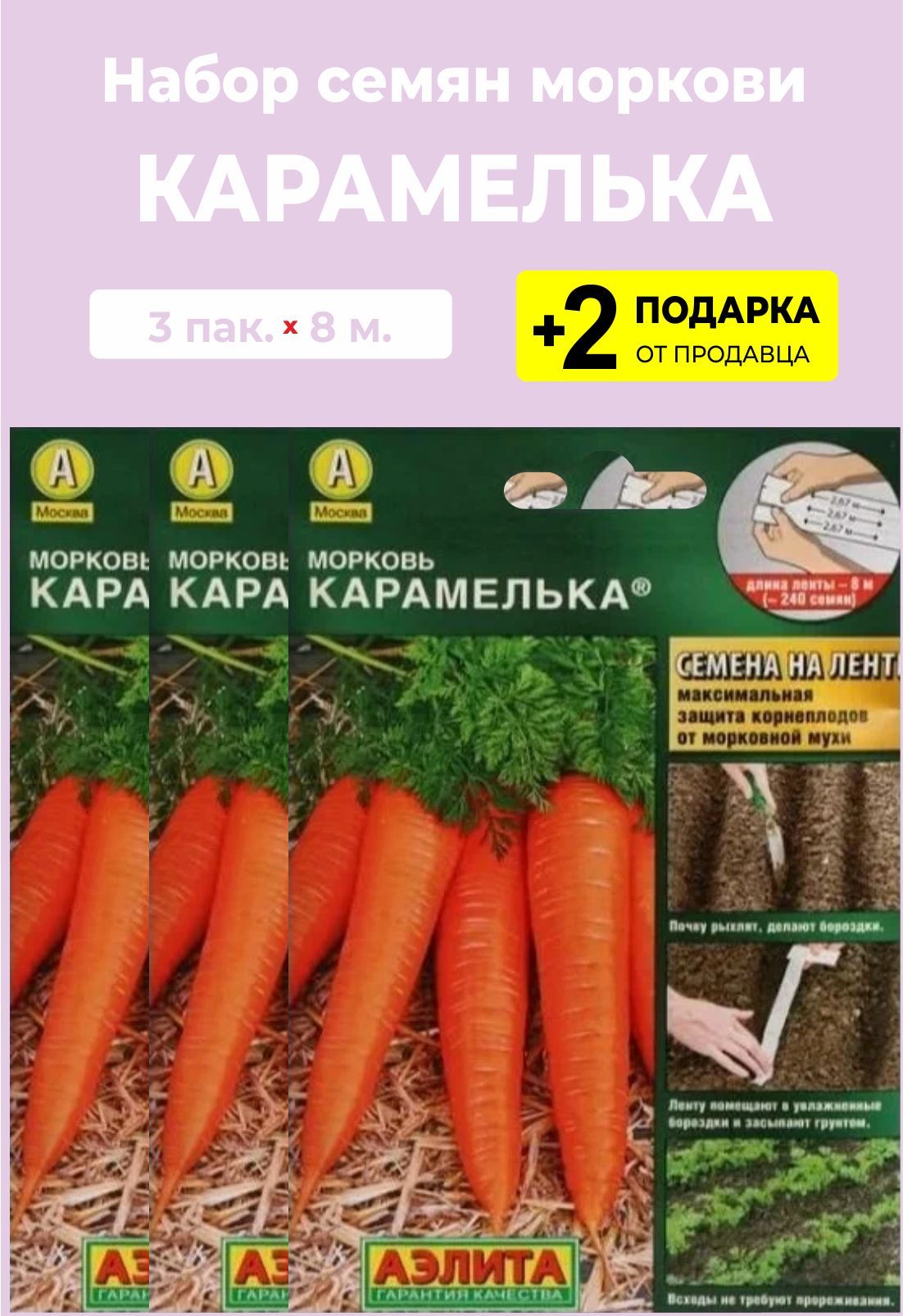 Морковь НИИОХ 336 8м /10. Сорт моркови НИИОХ. Морковь Атлант.