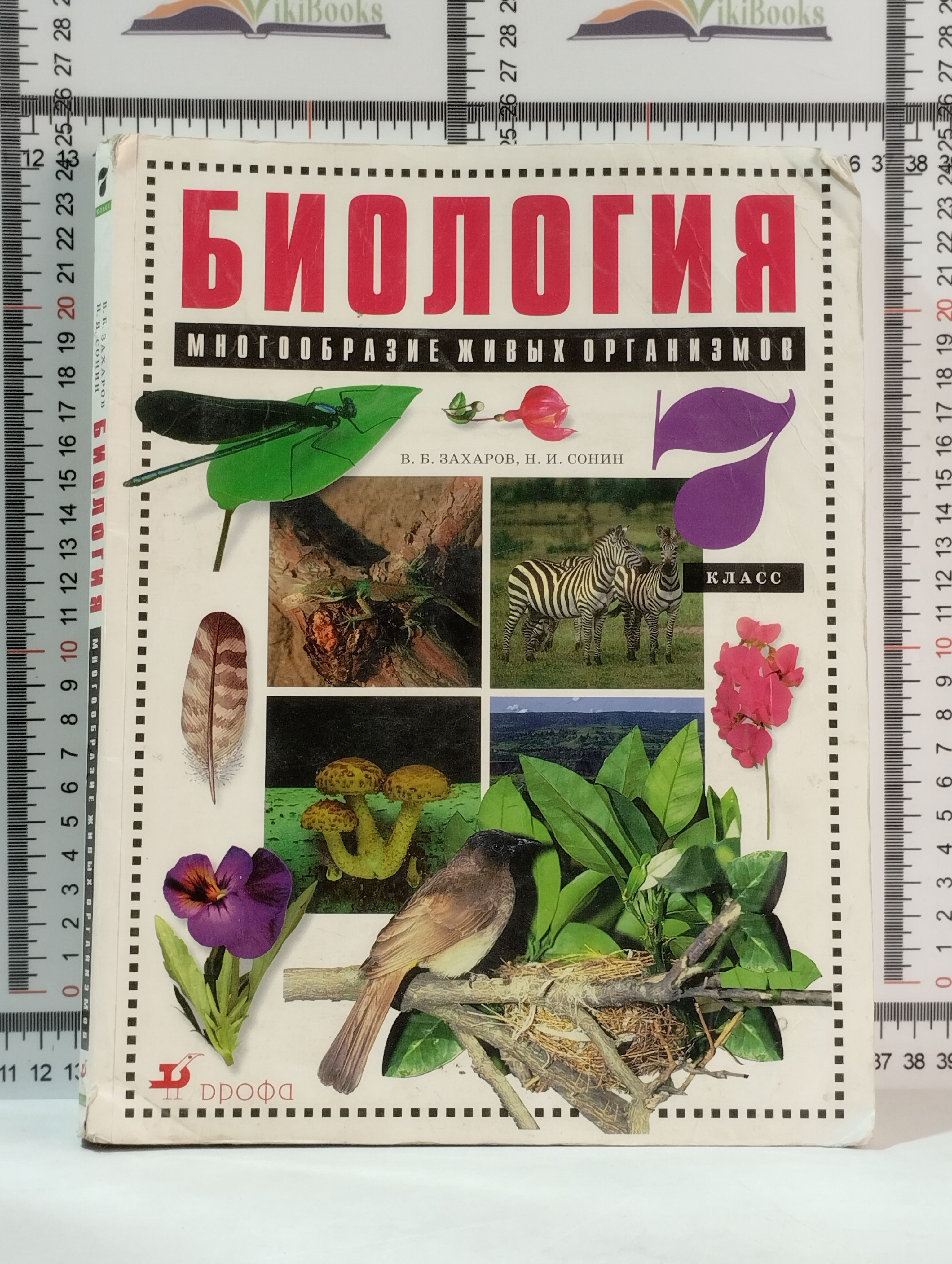 Сонин Биология 6 Класс Купить