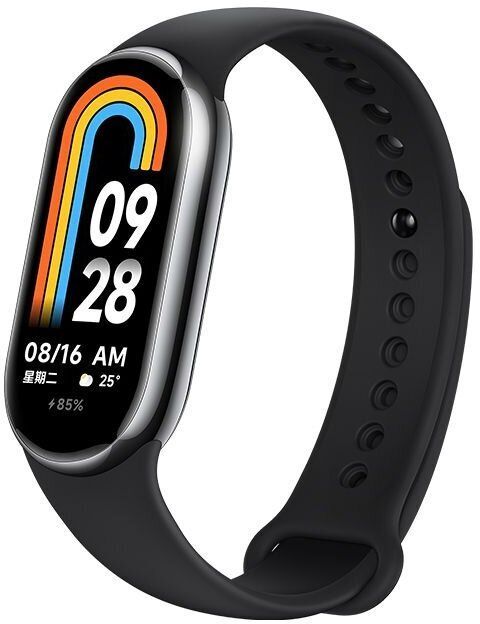 Фитнес-браслет Xiaomi Smart Band 8 (Цвет: Graphite Black)