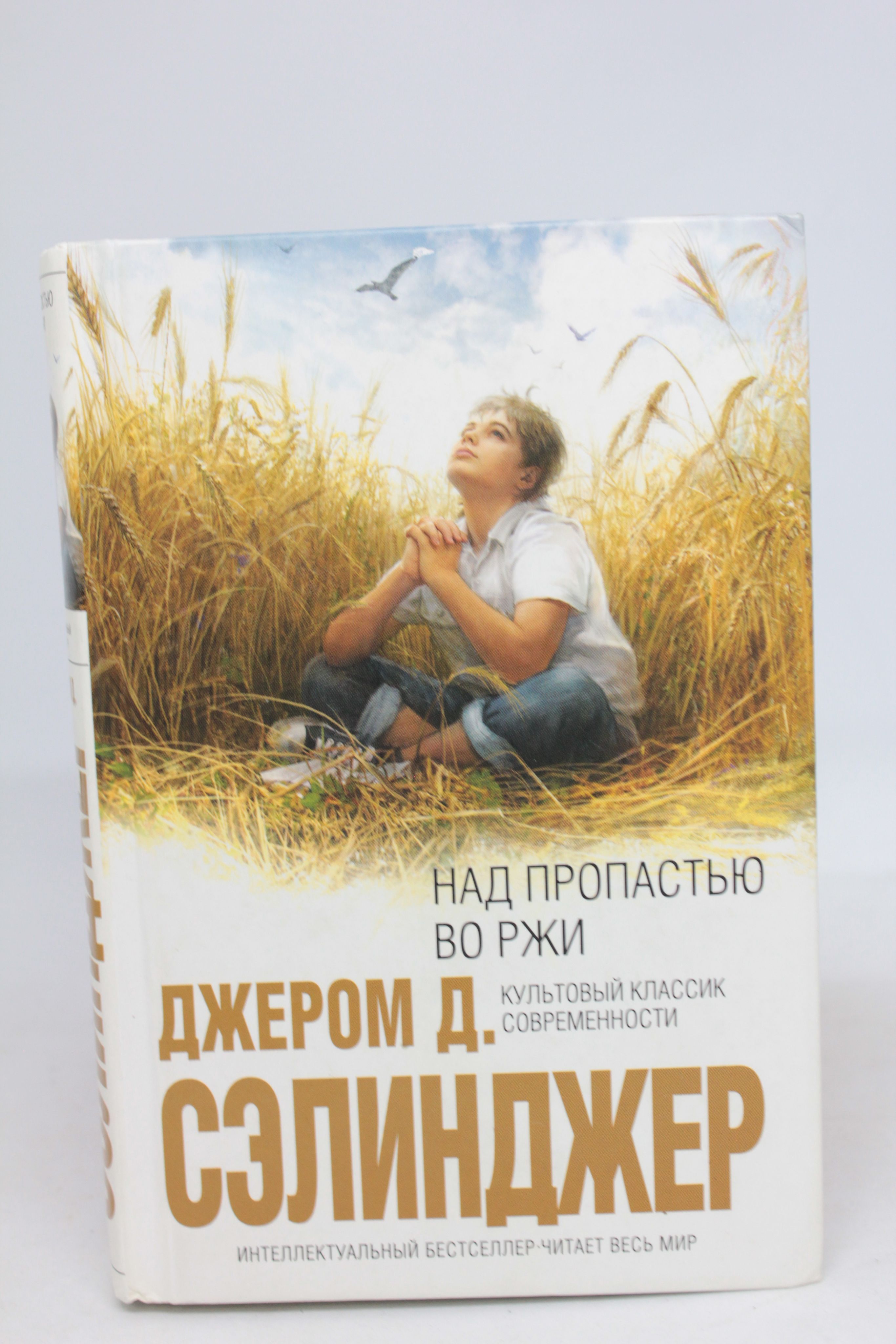 Сэлинджер над пропастью читать. Сэлинджер над пропастью во ржи обложка книги. Сэлинджера «над пропастью во ржи»). Сэлинджер над пропастью. Над пропастью во ржи джером дэвид сэлинджер обложка.