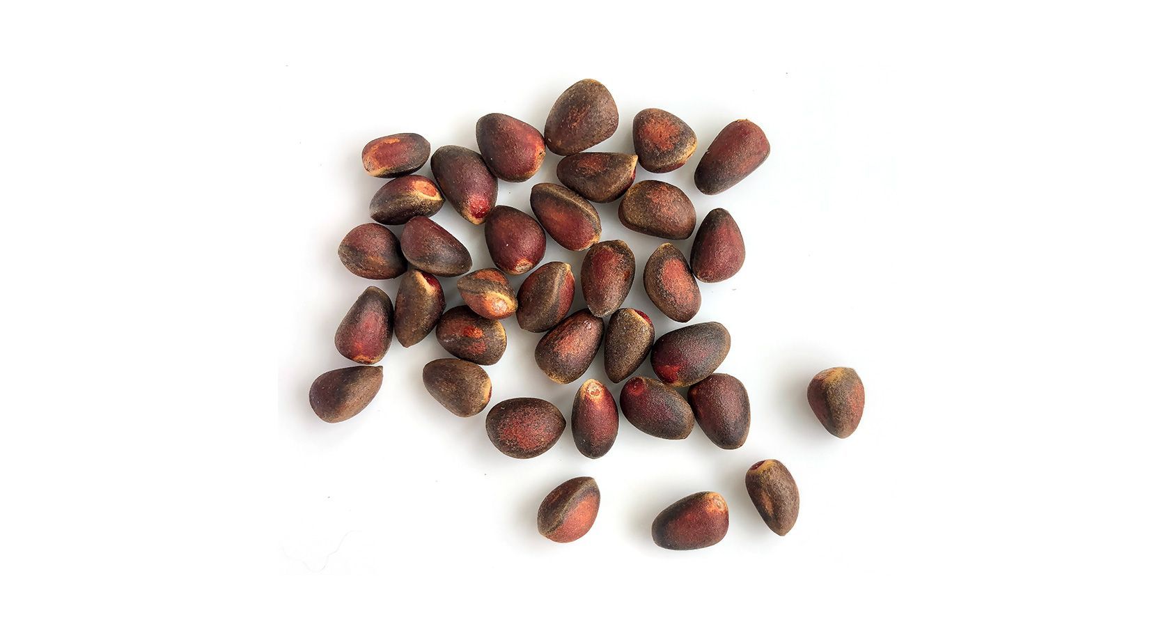 Кедровые орехи Ozon