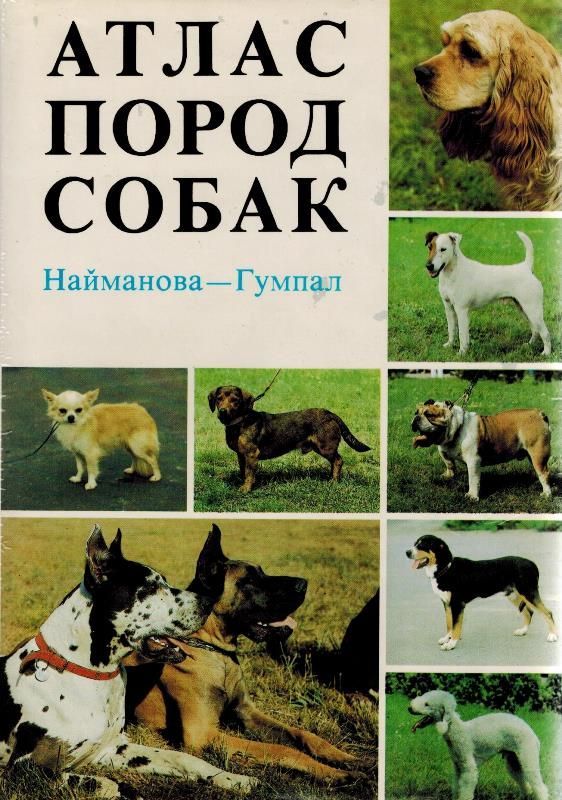 Атлас пород собак с фотографиями