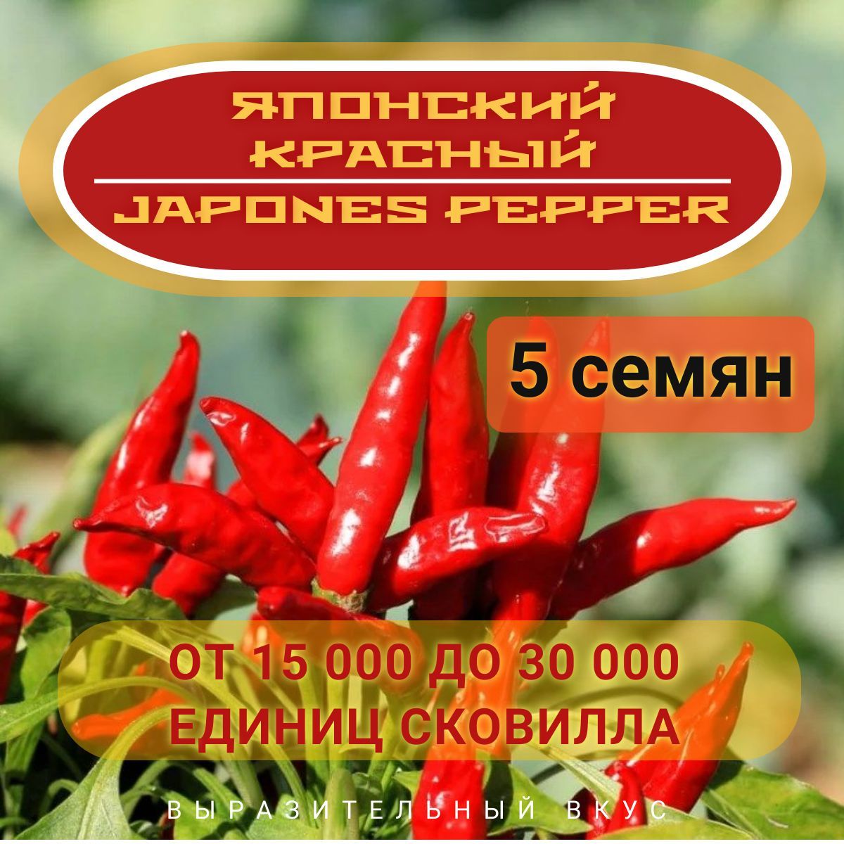 Солянум (Паслен) Плантаго Habanero_Japones Pepper - купить по выгодным  ценам в интернет-магазине OZON (1227356869)