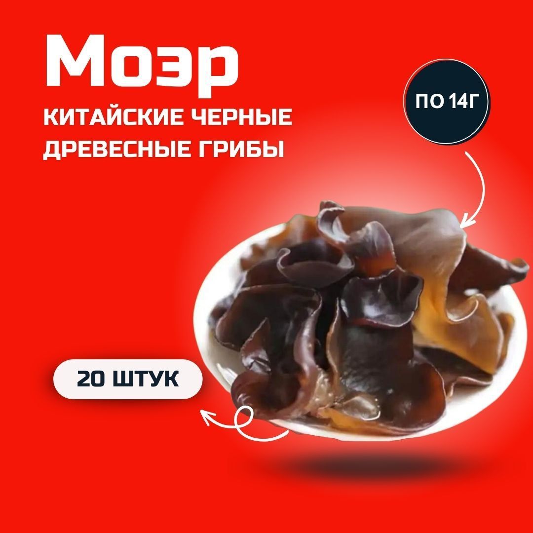 Сухие Древесные Грибы Купить