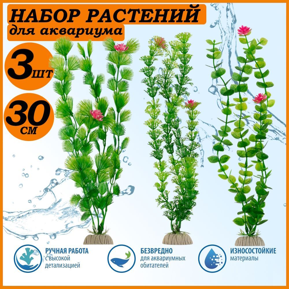 Набор Растений Для Аквариума Купить