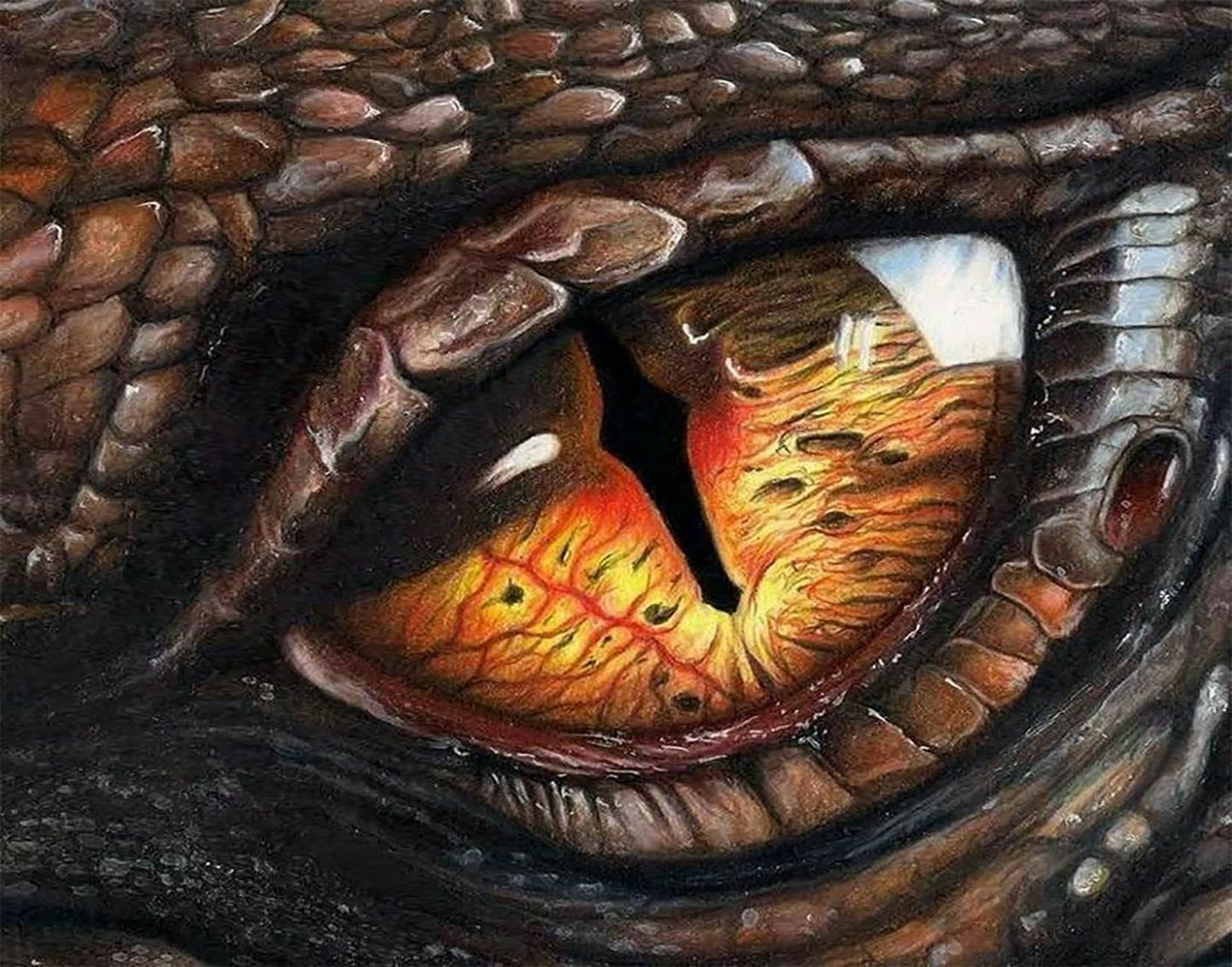 Dragon's eye. Глаза дракона (Dragon Eyes). Глаз дракона арт.