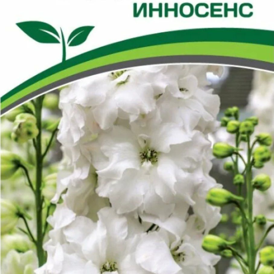 Семена Партнер Дельфиниума Купить