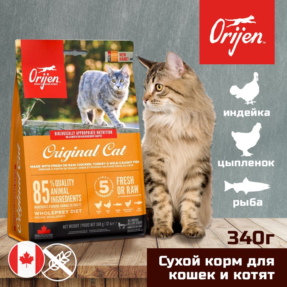 Корм Для Котят Orijen Купить