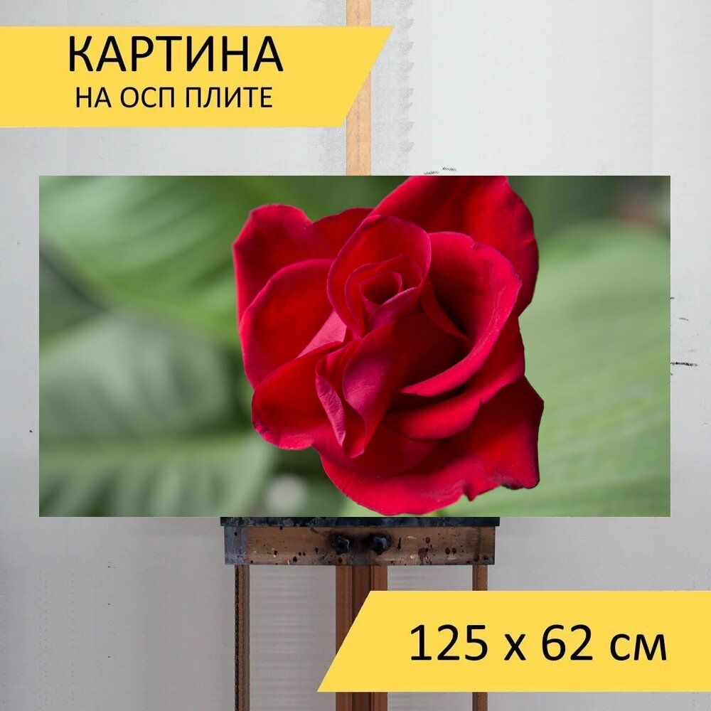 Красная картина 