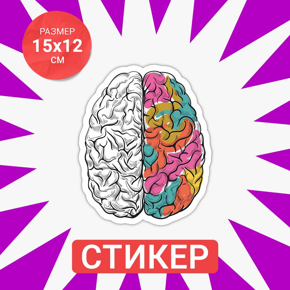 Наклейка 15х12 Brain #1