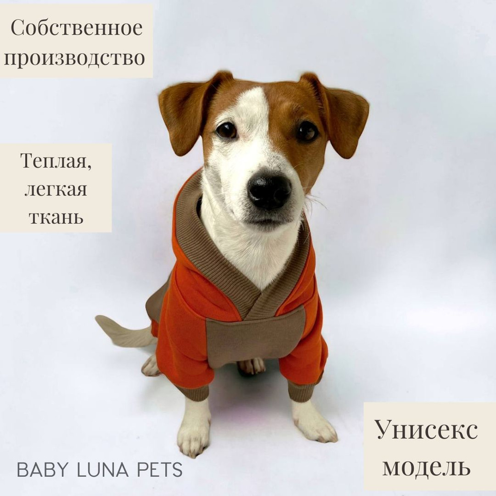 Худи для собак и кошек мелких и средних пород Baby Luna Pets #1