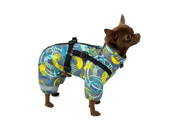 одежда для собак на озон дождевик