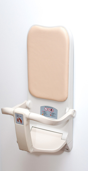 Детское удерживающее устройство Baby Holder - купить с доставкой по ...