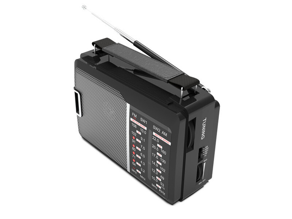Радиоприемник Ritmix RPR-190 купить по низкой цене с доставкой в ...