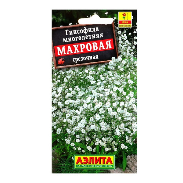 Гипсофилы многолетние Аэлита 1731525 - купить по выгодным ценам в ...