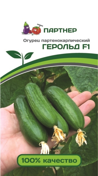 Огурцы Агрофирма Партнер ПартнерОгГер - купить по выгодным ценам в ...