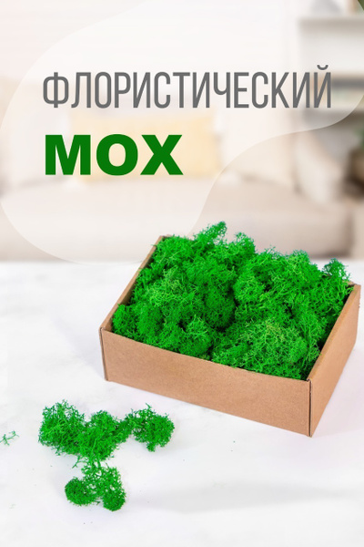 Стабилизированный мох Moss Green Мох, 100 гр купить по выгодной цене в ...