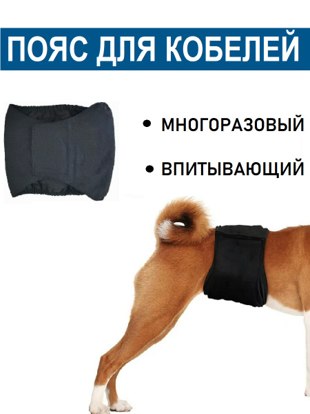Пояс для собак. Многоразовый памперс для кобелей, подгузник, трусы ...