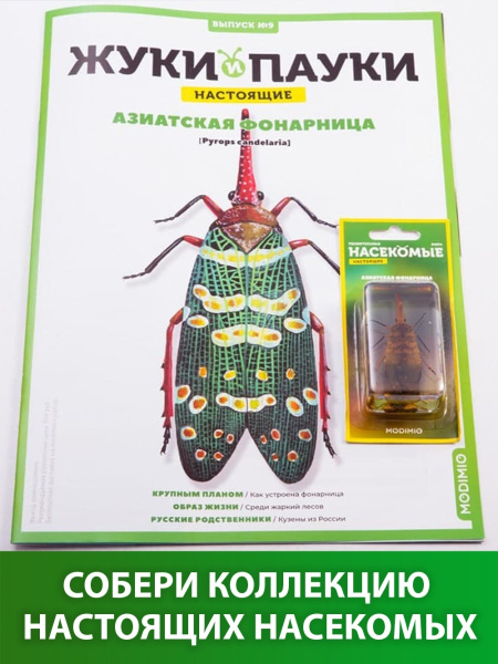 Жуки и пауки / Выпуск №9 / Журнал коллекционный с вложением / Жуки и ...