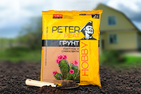 Грунт для Кактусов и суккулентов Peter Peat линия Хобби рассада земля 2 ...