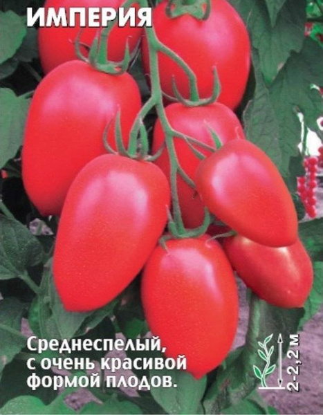 Томаты Седек Тор43451.1 - купить по выгодным ценам в интернет-магазине ...