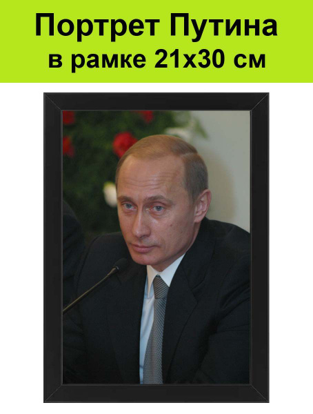 Портрет Путина в рамке 21х30 см / картина, постер, плакат Владимир ...