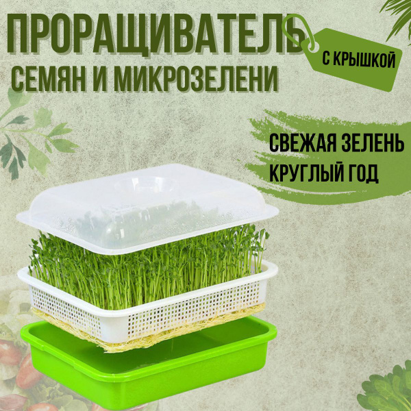 Проращиватель семян и микрозелени с крышкой, Супер Выбор - купить с ...