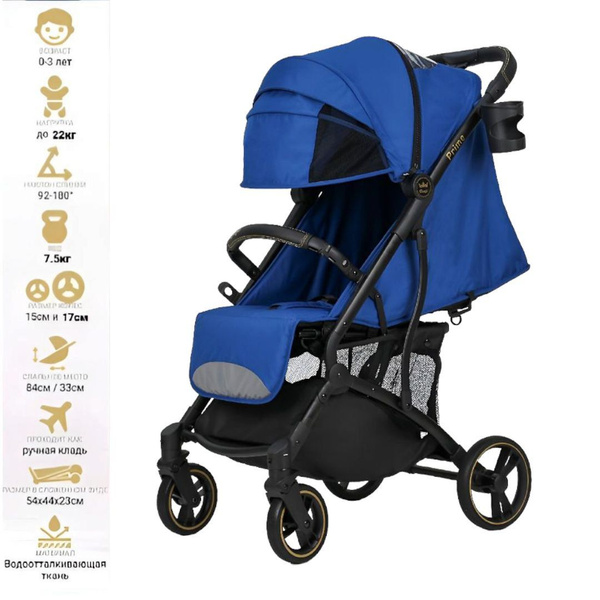 Коляска прогулочная детская Danki Prime Trend с рождения до 3 лет, цвет ...