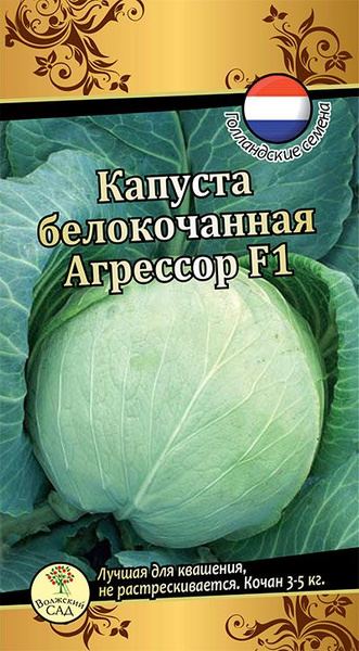 Капуста агрессор отзывы фото Капуста Волжский сад Капуста Агрессор - купить по выгодным ценам в интернет-мага