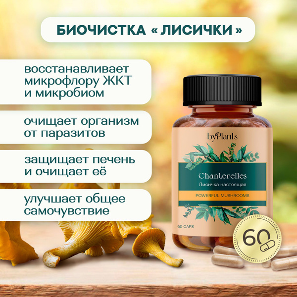 Антипаразитарный комплекс - Лисичка сушеная в капсулах 60 шт. - купить ...