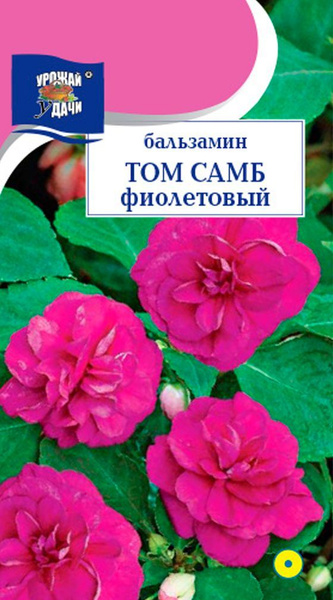 Бальзамины комнатные Урожай удачи УУ бальзамины АССОРТИ_1 - купить по ...