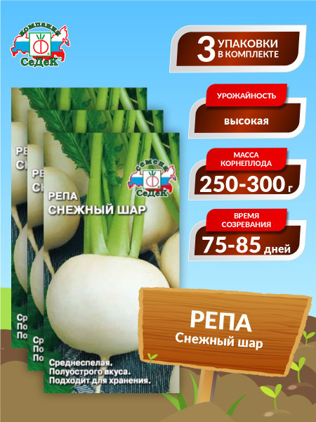 Репа Седек Репа - купить по выгодным ценам в интернет-магазине OZON ...