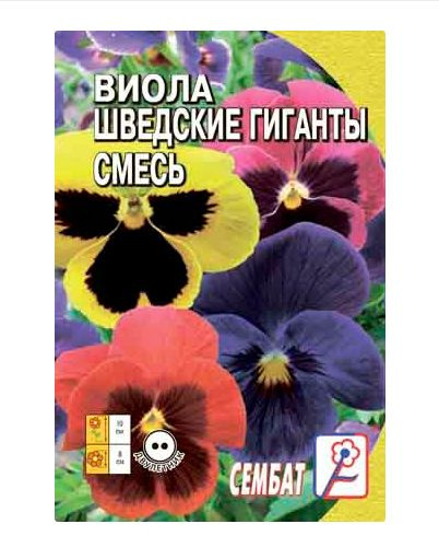 Фиалки Сембат Виола_виола шведские гиганты - купить по выгодным ценам в ...