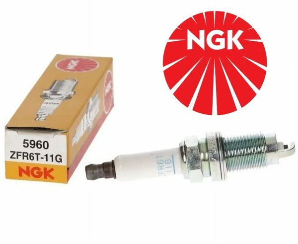 Zfr6t 11g