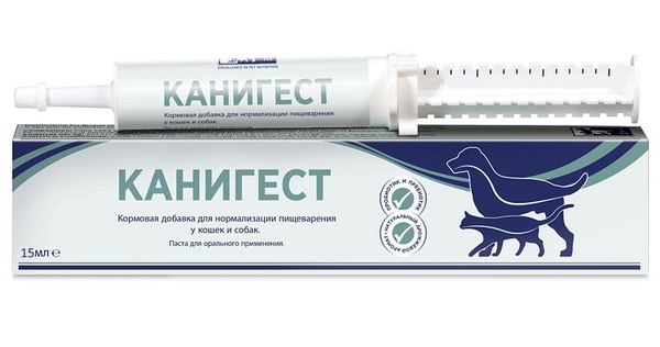 Канигест шприц, 15 мл - купить с доставкой по выгодным ценам в интернет ...