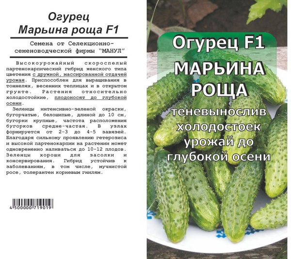 Огурцы марьина роща описание сорта