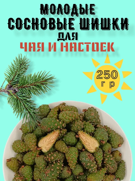 Молодые сосновые шишки, зеленые, для чая и настоек, 250 гр - купить с ...