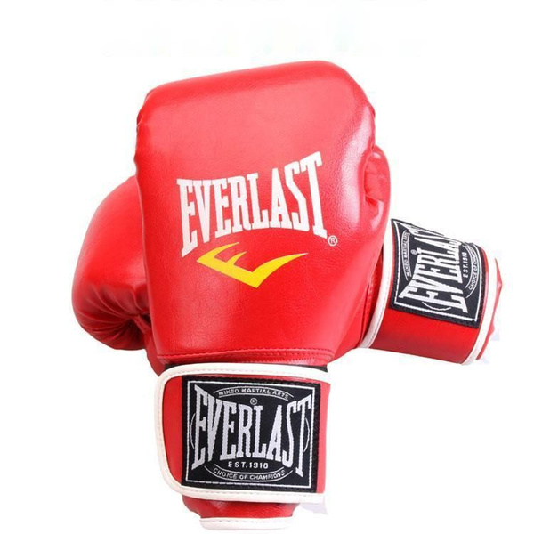 Everlast Boxing punching Bag