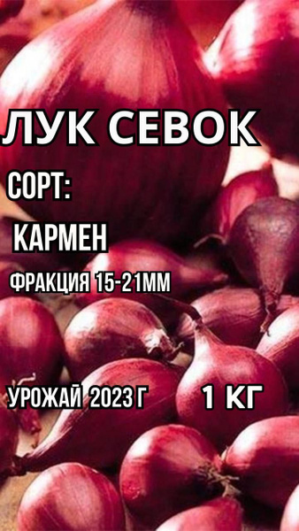 Луковицы Лук севок купить по выгодной цене в интернет-магазине OZON ...