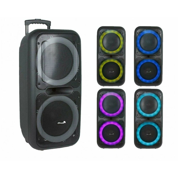 Портативная акустика Eltronic 20-14 Dance Box купить на OZON по низкой ...